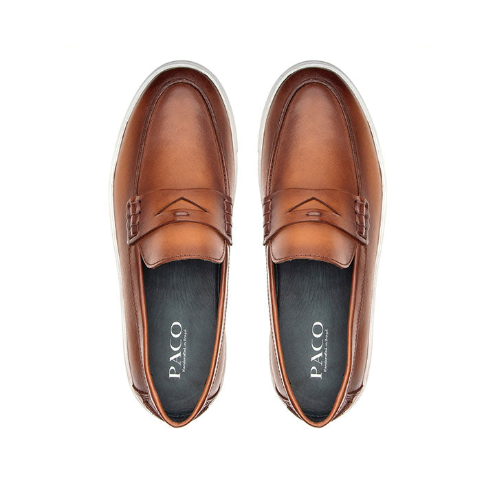 Paco PSV 042 Men's Casual #color_coffee